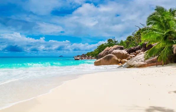 Картинка песок, море, пляж, берег, summer, beach, sea, sand