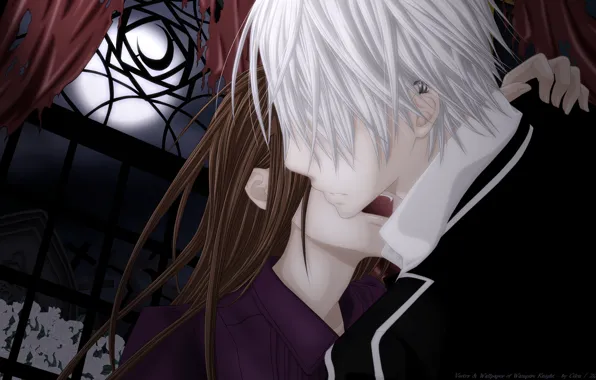 Луна, Vampire Knight, Yuki, Zero