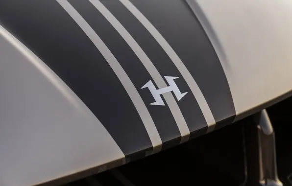 Logo, родстер, Hennessey, гиперкар, единственный экземпляр, hypercar, Venom F5, 2025