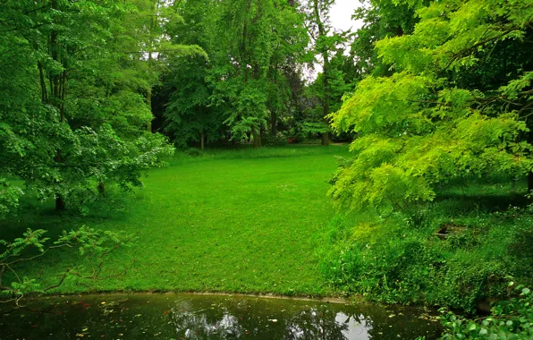 Зелень, трава, деревья, пруд, парк, Франция, лужайка, Albert-Kahn Japanese gardens