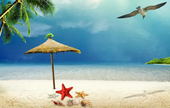 Картинка песок, море, пляж, лето, солнце, отдых, ракушки, summer
