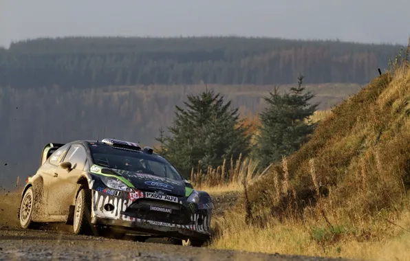 Ford, Лес, Спорт, Car, Автомобиль, WRC, Rally, Fiesta
