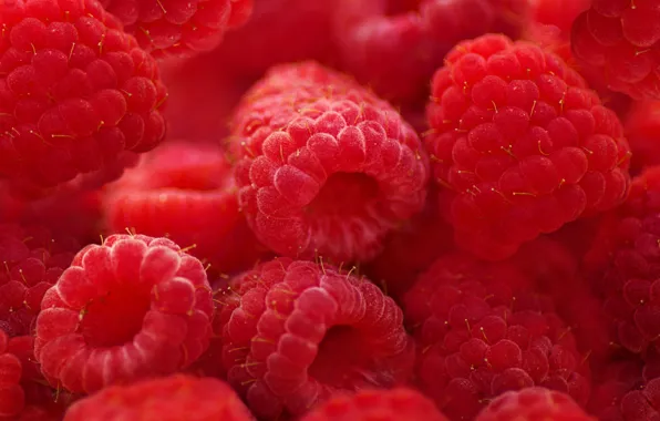Картинка макро, ягоды, малина, текстура