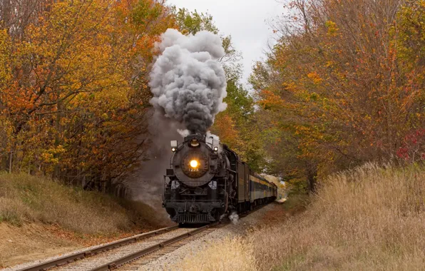 Осень, лес, поезд