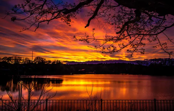 Colorful, dark, sky, trees, nature, sunset, lake, landscapes