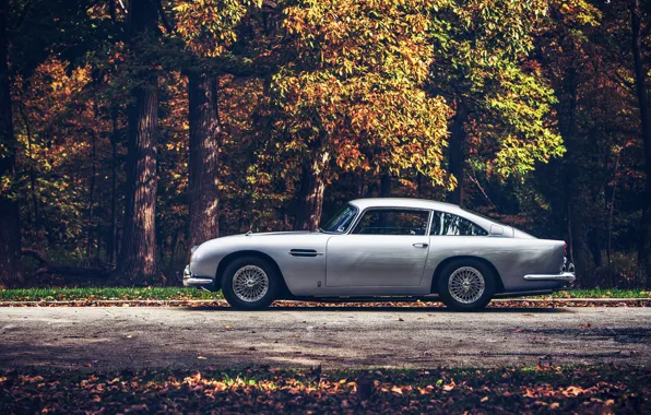 Дорога, лес, Aston Martin, 1965, DB5