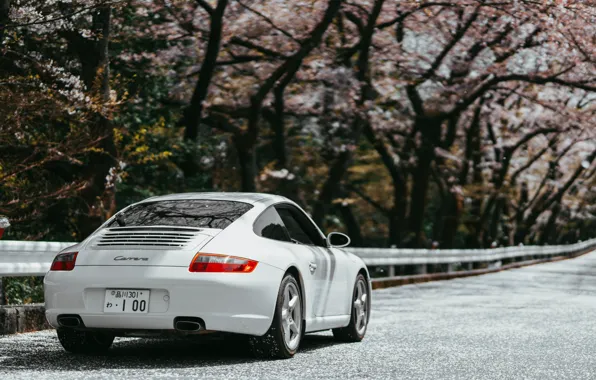 Картинка 911, Porsche, Japan, Carrera
