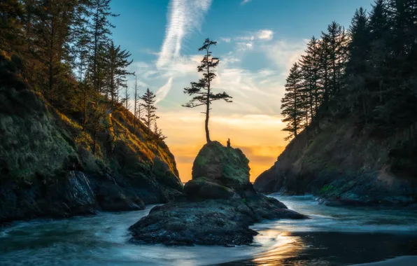 Картинка деревья, пейзаж, горы, природа, река, скалы, Вашингтон, США