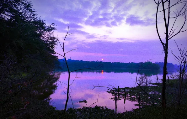 Sky, Sun, Water, Sunrise, Dawn, Morning, Lake, Trees