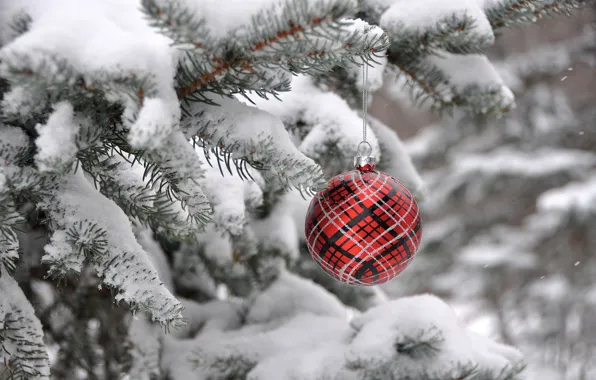 Зима, елка, новый год, рождество, ель, шарик, украшение