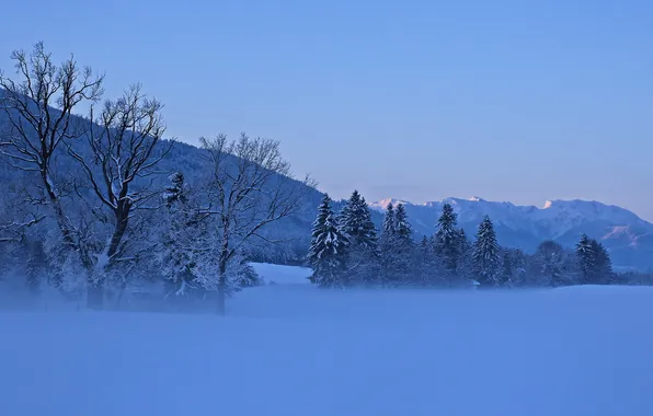 Зима, пейзаж, природа