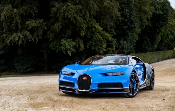 Картинка Bugatti, Blue, 2016, Chiron