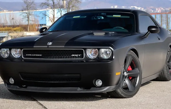 Картинка Dodge, Challenger, srt, black, mat