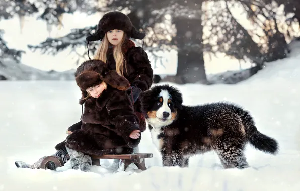 Картинка зима, снег, природа, дети, животное, собака, мальчик, девочка