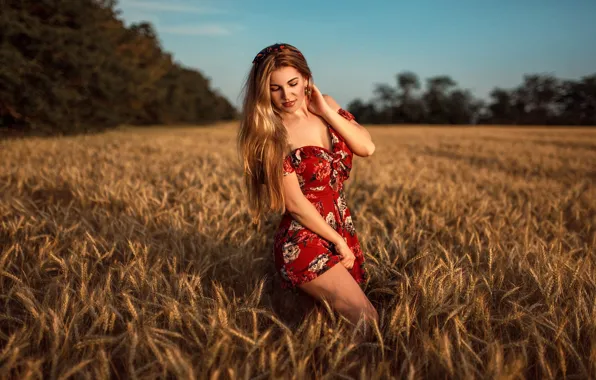 Картинка пшеница, поле, солнце, деревья, секси, поза, модель, портрет