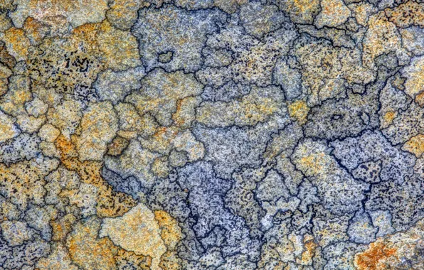 World, texture, pattern, map