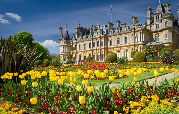 Картинка цветы, парк, Англия, сад, тюльпаны, особняк, клумбы, England