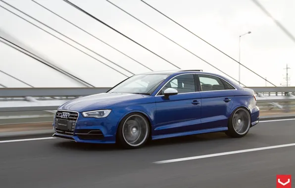 Audi, Vossen
