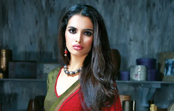 Украшения, брюнетка, woman, индианка, Bollywood, сари, indian brunette