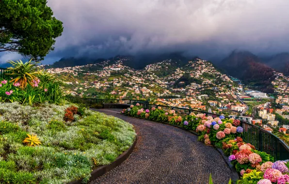 Картинка green, road, flowers, clouds, mountain, houses, Portugal, town