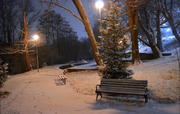 Картинка Зима, Ночь, Снег, Фонари, Парк, Winter, Night, Park