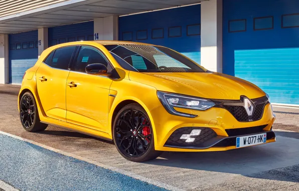 Renault, хэтчбек, 2018, Trophy, Megane RS