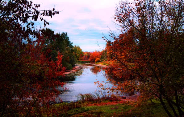 Картинка осень, река, обработка, colors, river, Autumn, fall