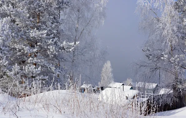 Картинка зима, иней, трава, снег, деревья, туман, домики