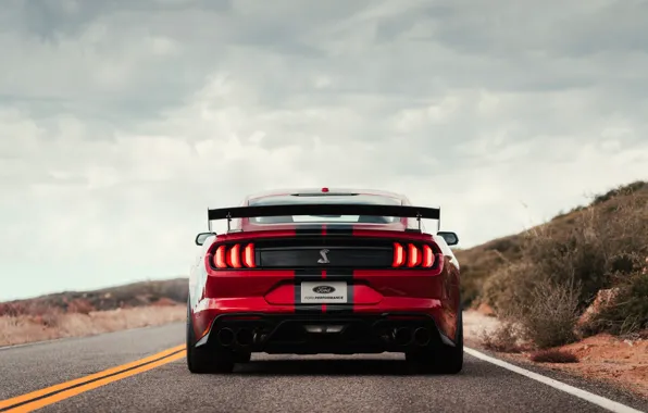 Картинка Mustang, Ford, Shelby, GT500, кровавый, корма, 2019