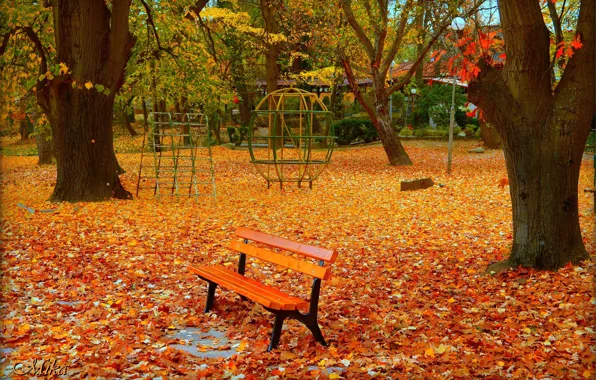 Осень, Скамейка, Парк, Fall, Листва, Park, Autumn, Colors