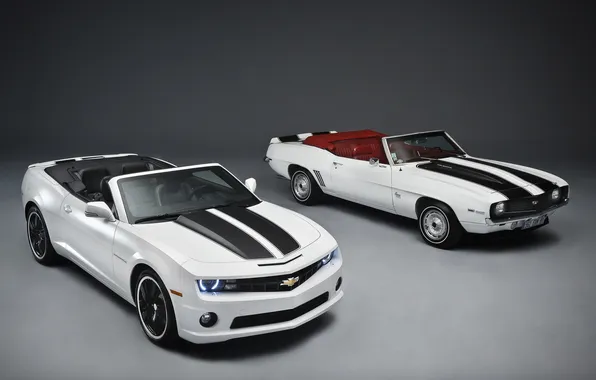 Картинка Chevrolet, Camaro, white, кабриолет, шевроле, камаро, чёрные спортивные полосы