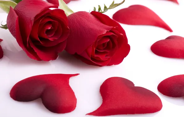 Картинка розы, сердечки, красные