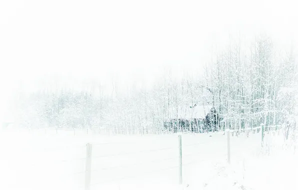 Зима, снег, природа