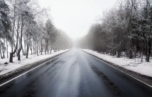 Картинка зима, дорога, туман