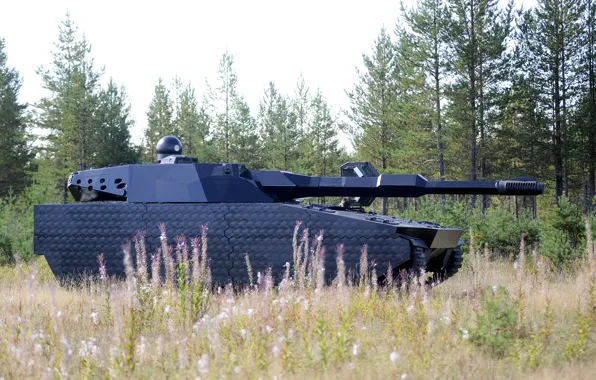 Картинка concept, test, Poland, tank, armored, vegetation, futuristic, cannon