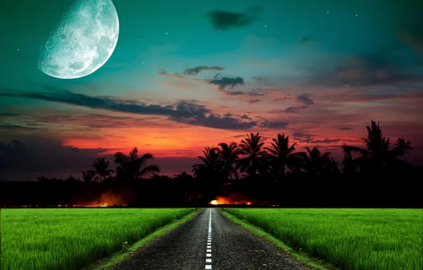 Картинка дорога, небо, трава, звезды, закат, ночь, луна