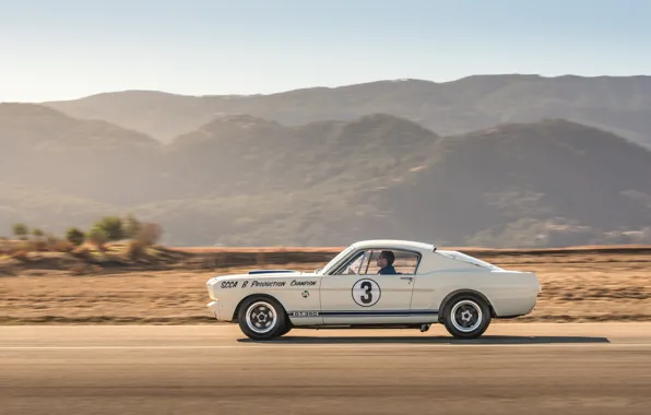 Картинка Mustang, Ford, Shelby, 1965, GT350, Shelby GT350