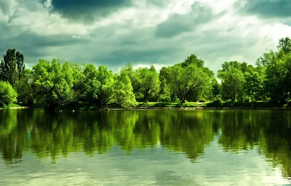 Картинка forest, landscape, sunlight