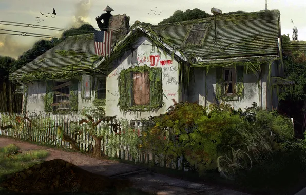 Картинка дом, флаг, америка, пустош
