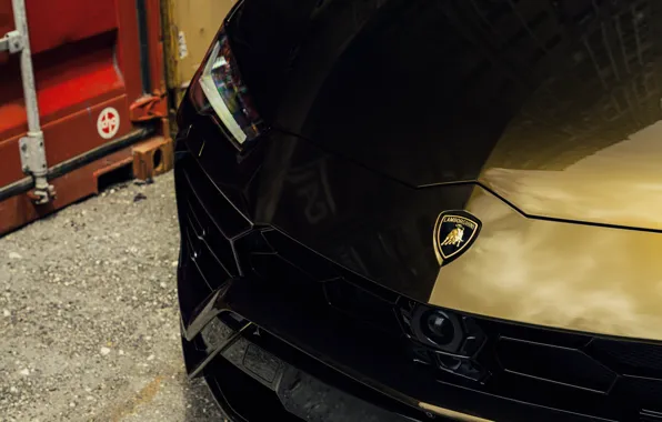 Картинка Порт, Lamborghini, Морда, Urus, Face, VAG, Контейнер, Bronze