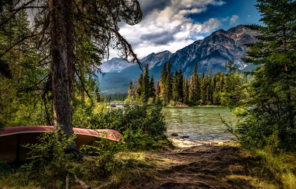 Картинка деревья, горы, озеро, лодка, Канада, Альберта, Alberta, Canada