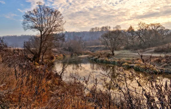 Осень, пейзаж, природа, река