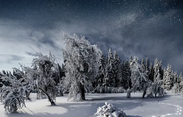 Картинка sky, night, winter, fantastic, snowy, starry, milky way