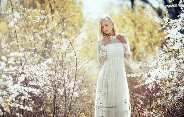 Картинка лето, девушка, Tatjana