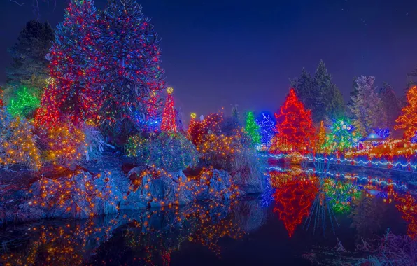 Картинка деревья, огни, праздник, Канада, Рождество, Ванкувер, ботанический сад, фестиваль огней