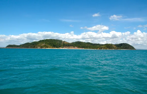 Nature, Landscapes, Brazil, Bahia, South American