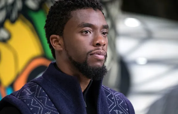 Cinema, man, movie, film, king, Black Panther, Chadwick Boseman, Wakanda