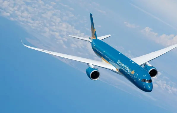 Картинка Airbus, Крыло, Airbus A350-900, Пассажирский самолёт, Airbus A350 XWB, Vietnam Airlines