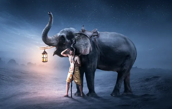 Картинка слон, фонарь, парень, fantastic artworks, In the night