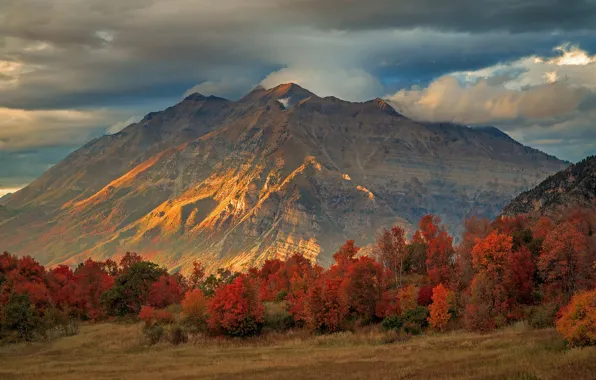 Осень, лес, небо, облака, природа, краски